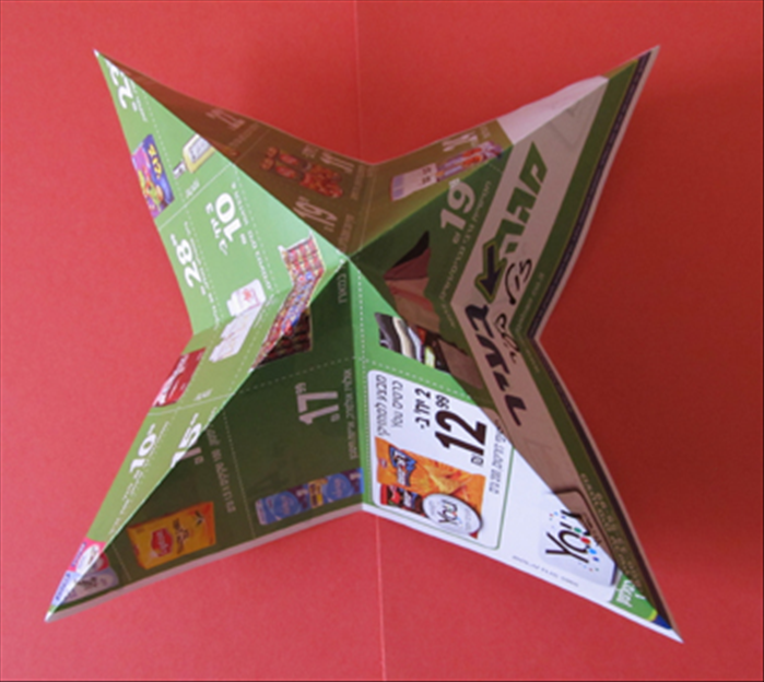 שלב 5