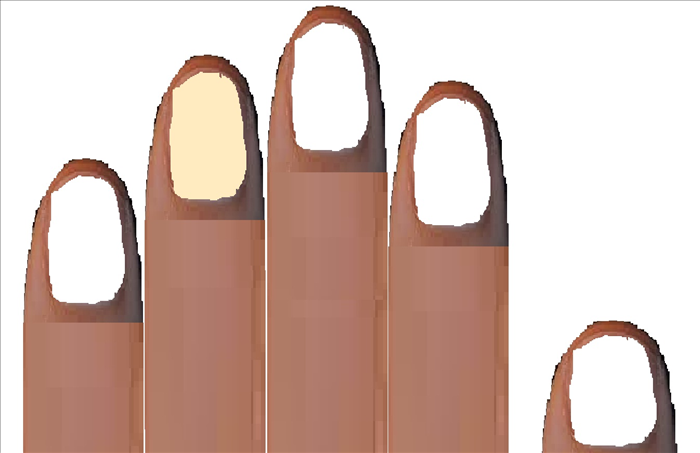 איך לבנות קן לציפורים