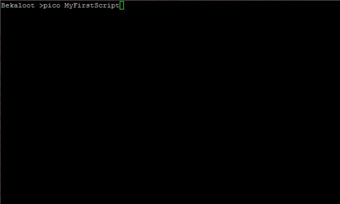 מדריך יוניקס (Unix) מספר 7 - איך לעבוד עם משתנים בסקריפטים (Scripts)