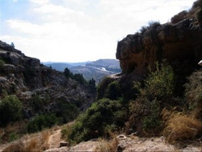 טיול למתחילים: מסלול מים עין לימון