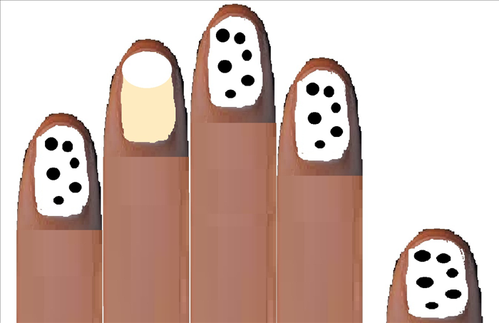 איך לבנות קן לציפורים