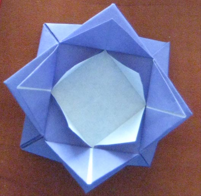 Step 11