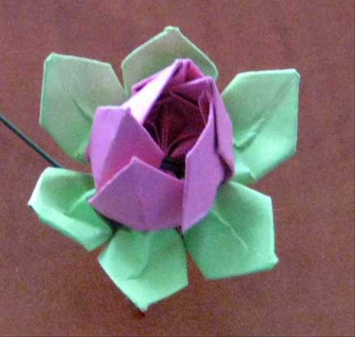 How to make an origami lotus flower