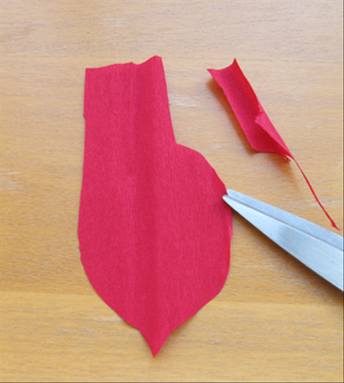 Step 5
