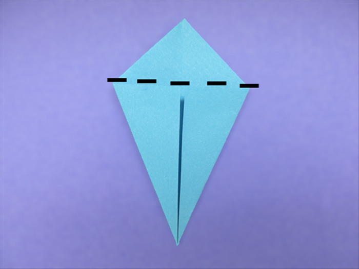 Step 5