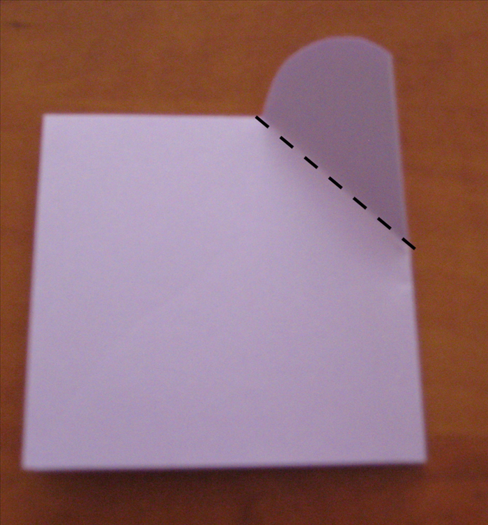 Step 6