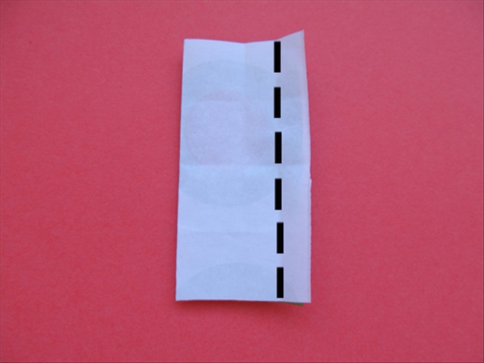 Step 6