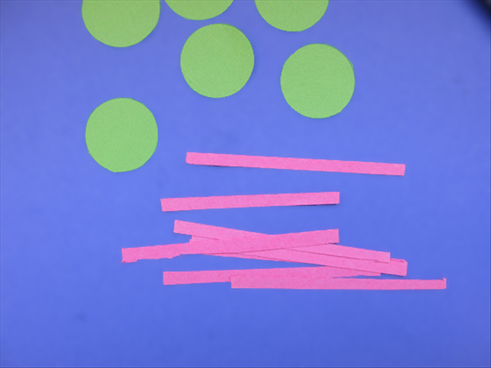 Step 8