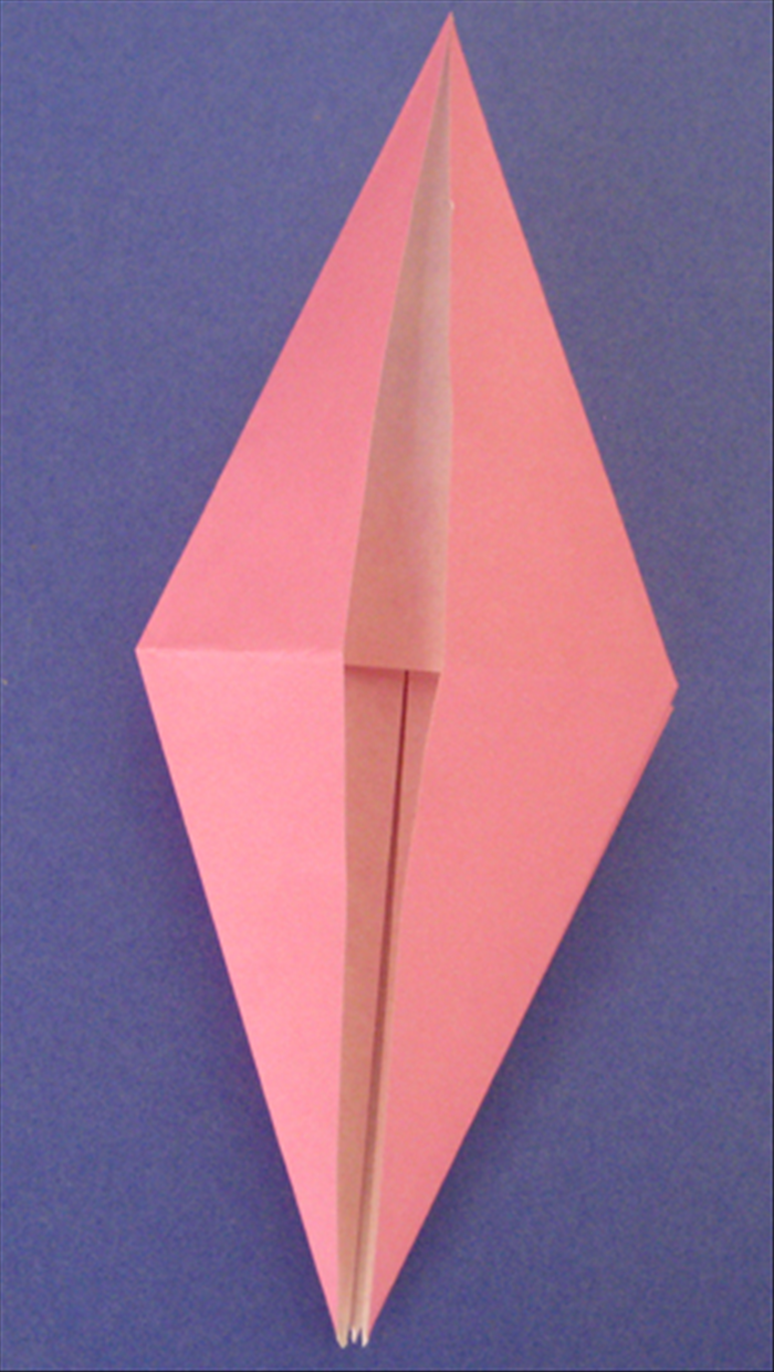 Step 7