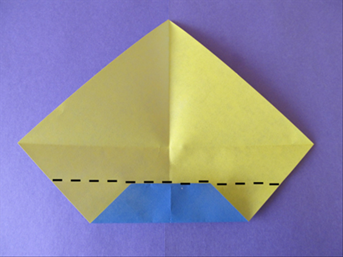 Step 7