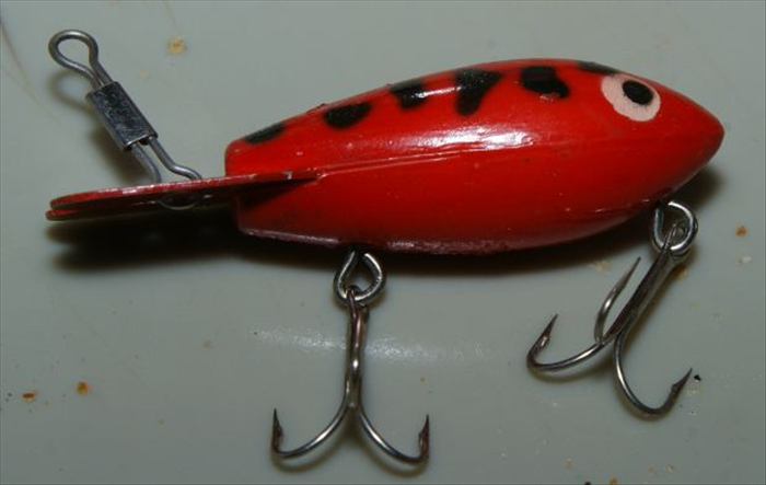 Step 5