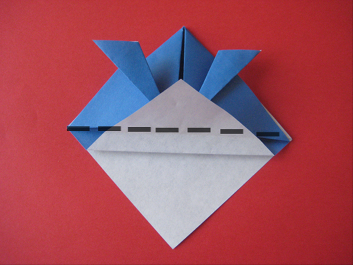 Step 7