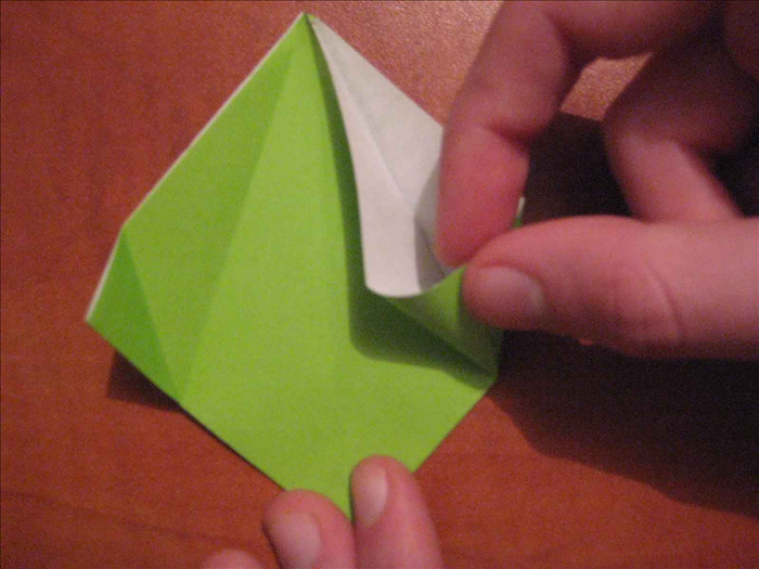 Step 11