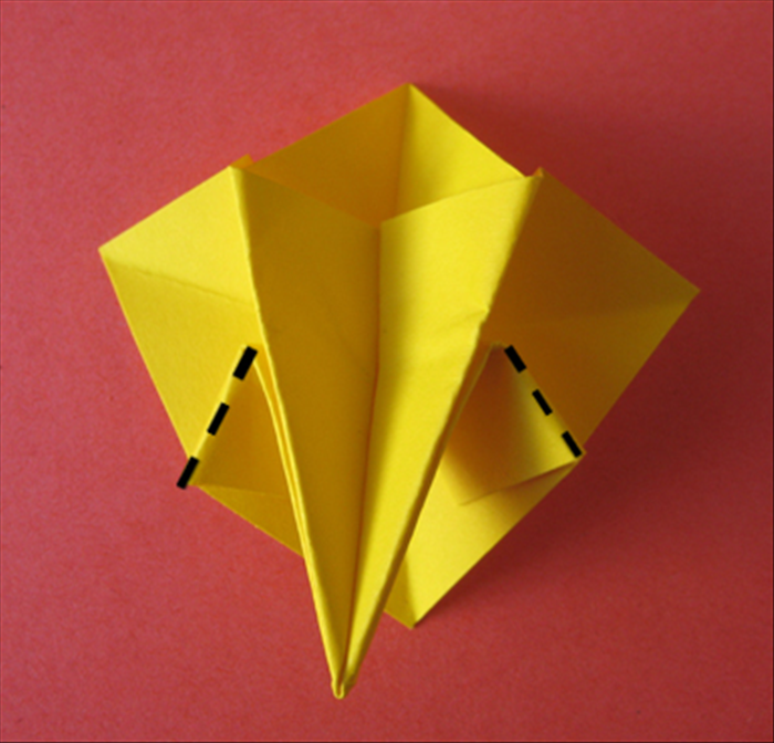 Step 9