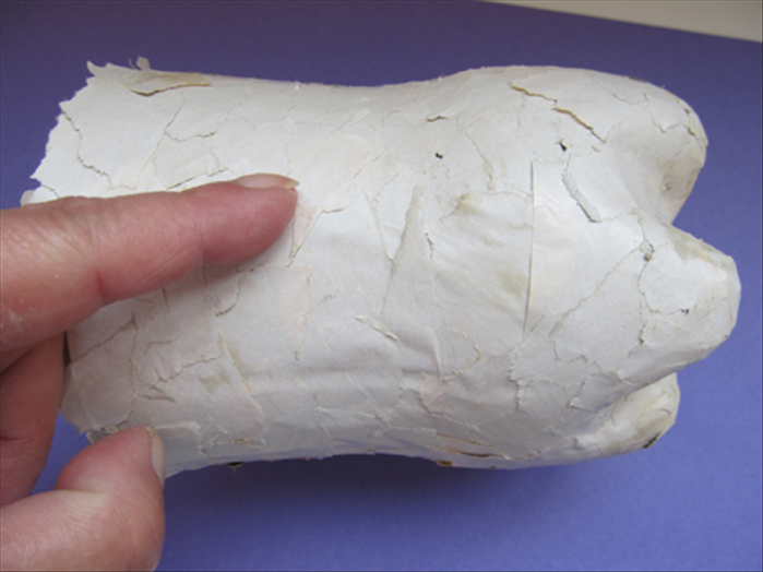 Step 5