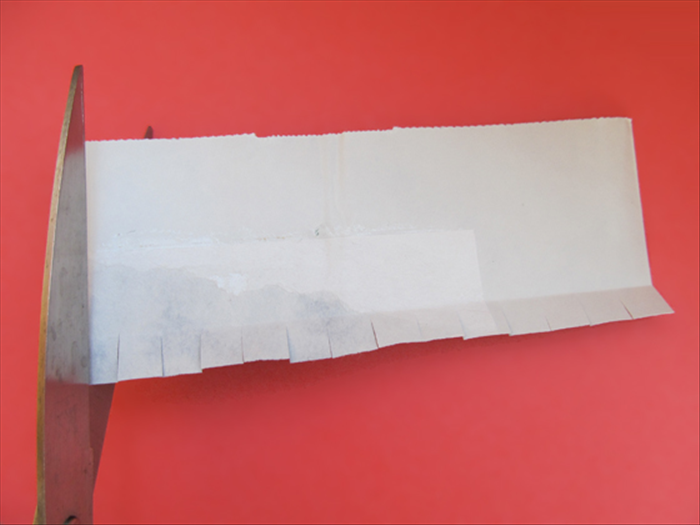 Step 5