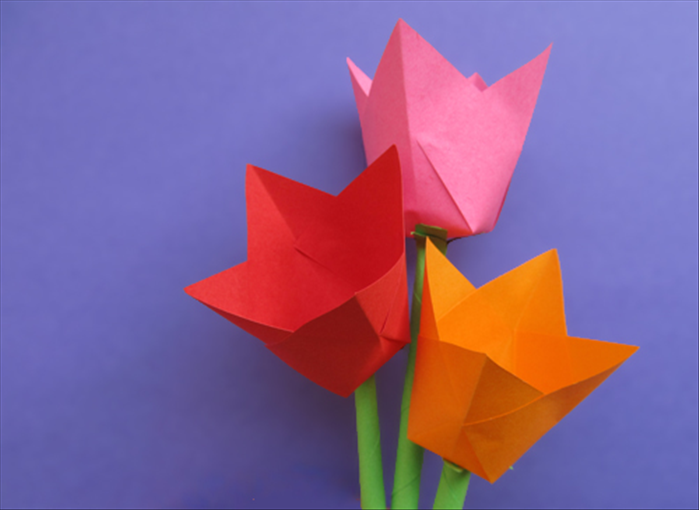 How to Make Easy Paper Tulips: Fun Craft for Kids