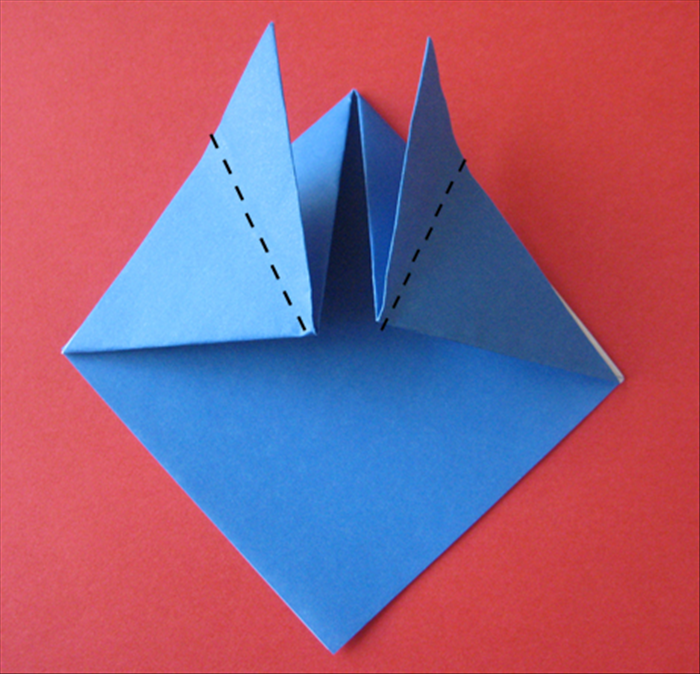 Step 5