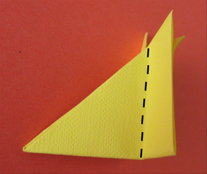 Step 9