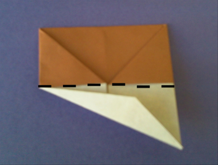 Step 12