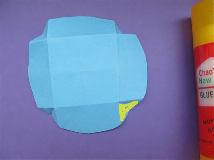 Step 11