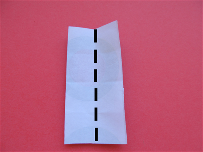 Step 5