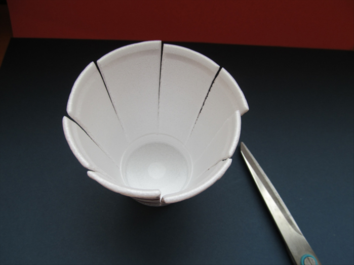 How to Make Paper Cup Daisies