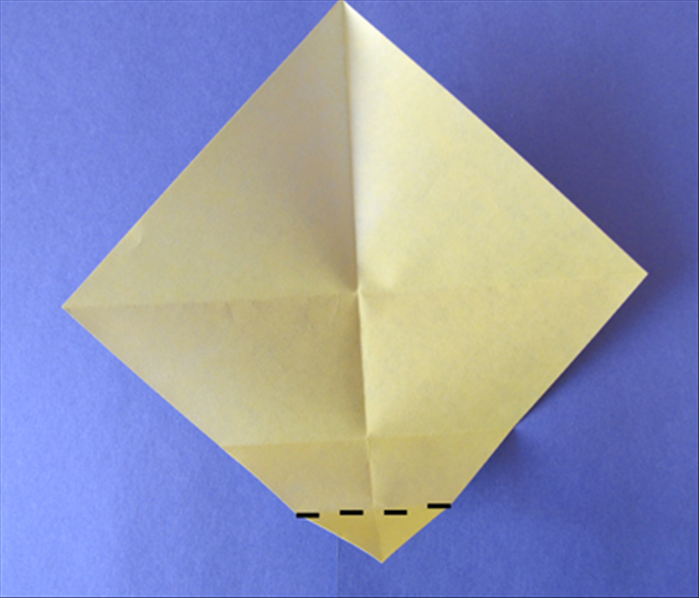 Step 5
