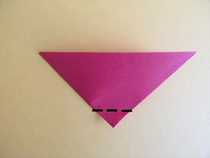 Step 5