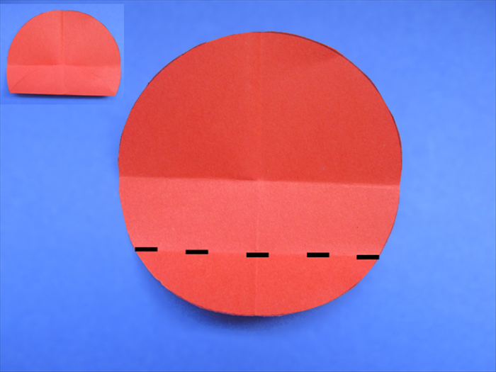 Step 5