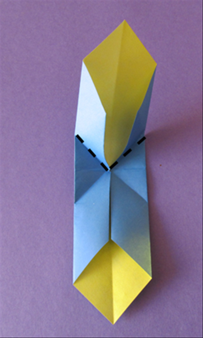 Step 12
