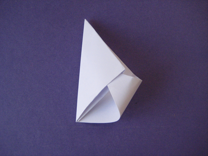 Step 5