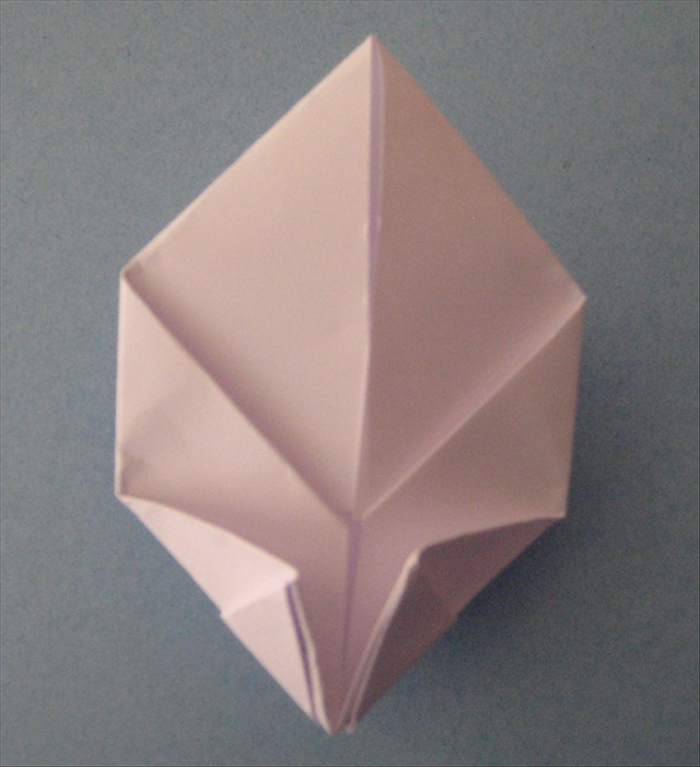 Step 11