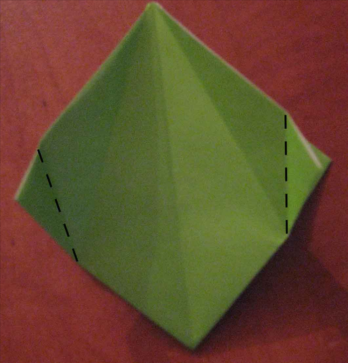 Step 10