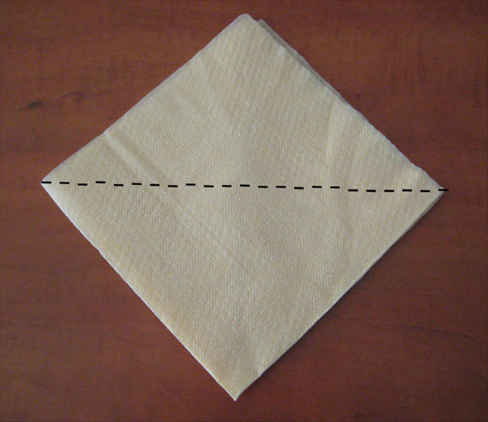 Step 5