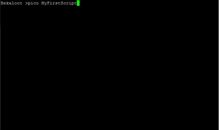 מדריך יוניקס (Unix) מספר 6 - איך ליצור ולהריץ סקריפטים (Scripts)