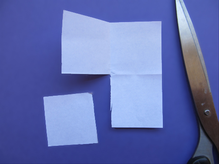 Step 5