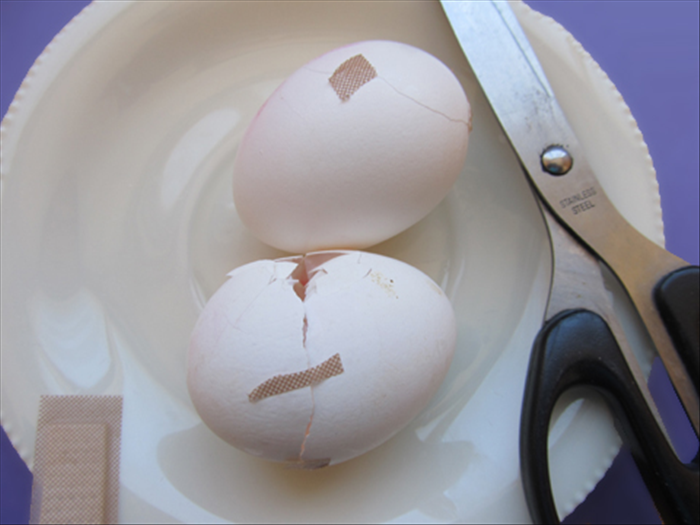 DIY Easter Eggs from Broken Eggshells