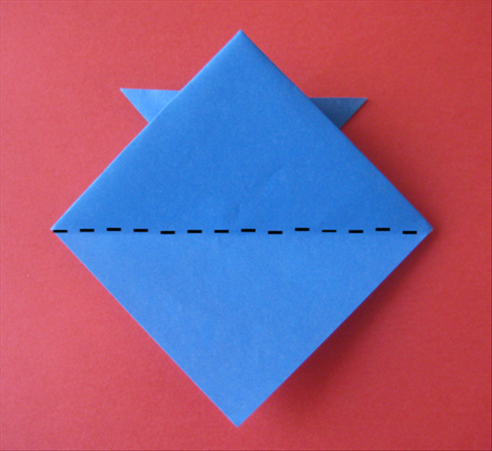 Step 9
