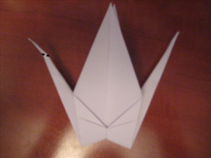 Step 16