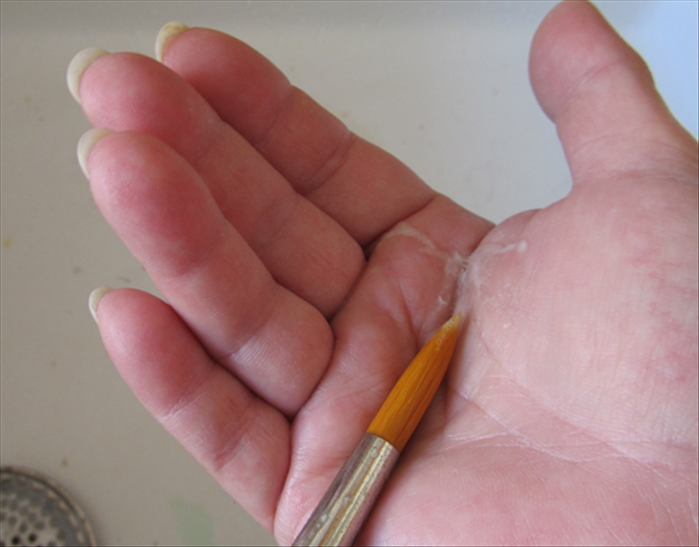 How to Clean & Care for Artist Paint Brushes: Extend Their Life