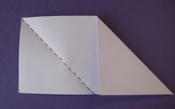Step 8
