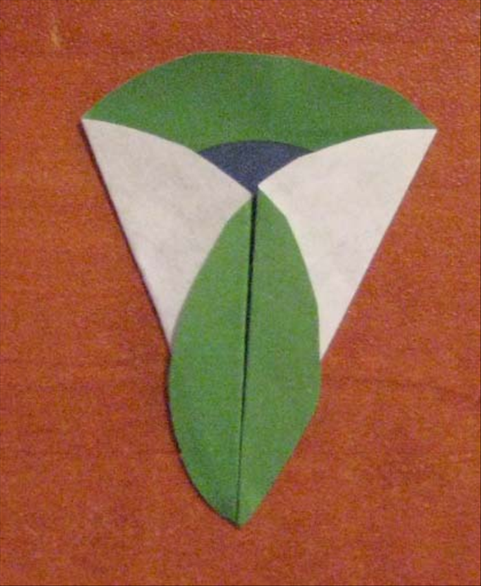 Step 7