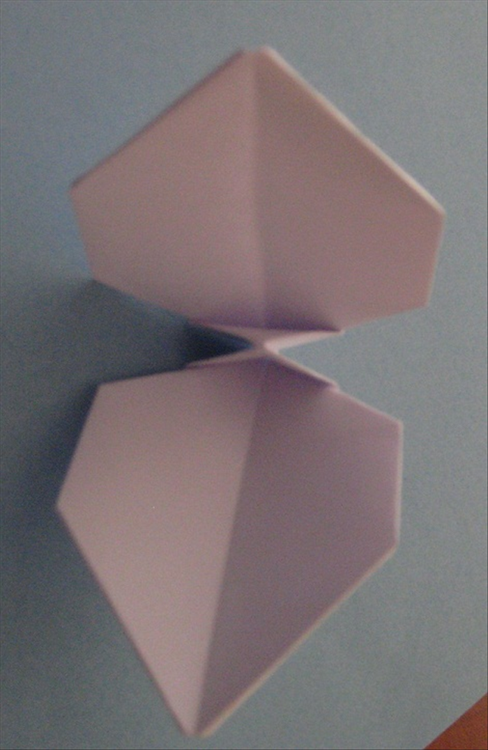 Step 12
