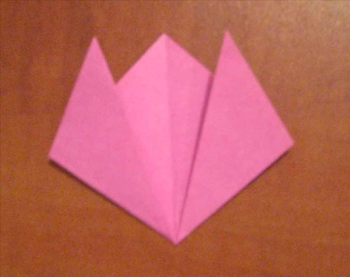 How to Fold an Origami Tulip