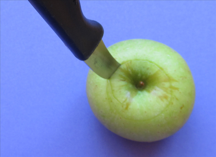 DIY Apple Candle Holders: Easy Fall & Holiday Decor