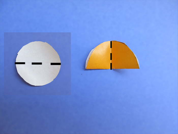 Step 6