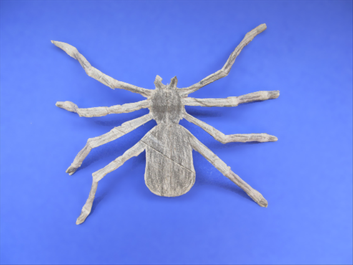 Easy Toilet Paper Roll Spider Craft for Halloween