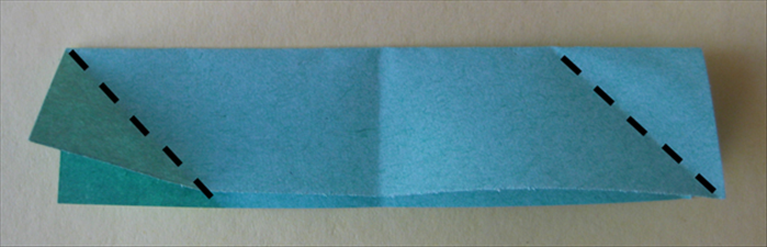 Step 5
