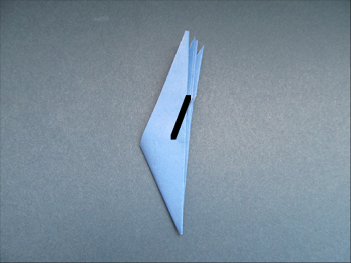 Step 7